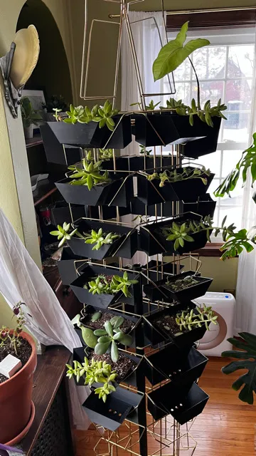 Front view of the 3D printed planter insert sitting in the postcard rack