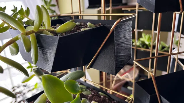 Full postcard rack planter on display with multiple plants