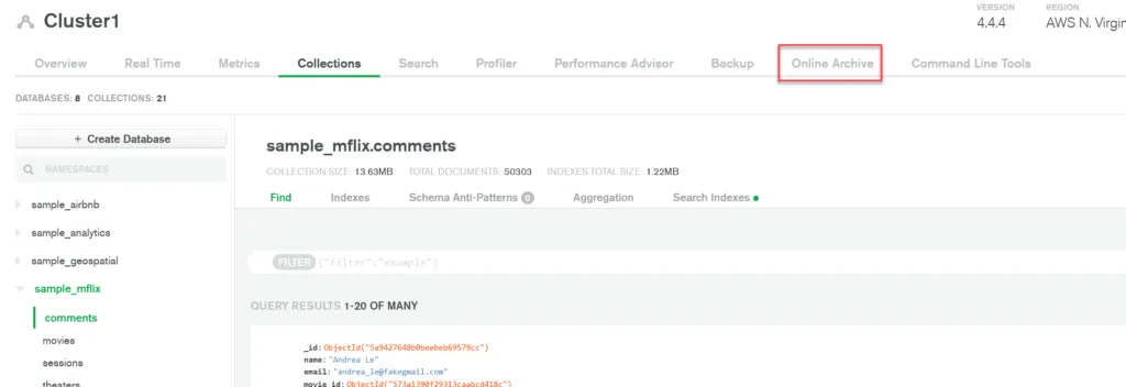 Screenshot from Atlas with a red rectangle highlighting the Online Archive tab.