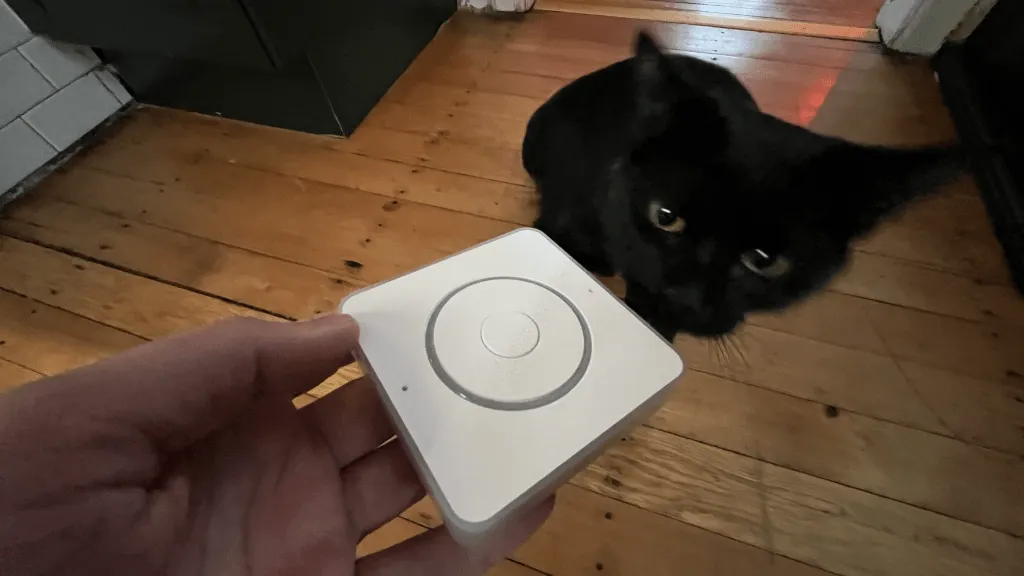 Hand holding a smart home voice assistant device with black cat watching