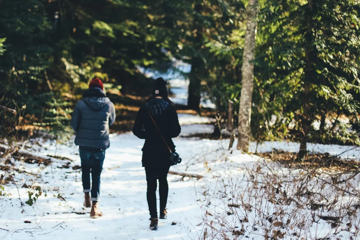 Hero image for My Relationship With The Internet