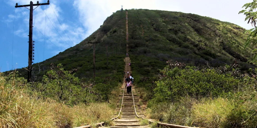 Koko Head trail stairs leading up the steep green hillside
