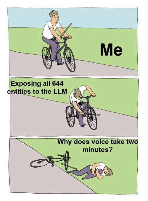 Bike Fall meme: a cyclist labeled Me jams a stick labeled 'Exposing all 644 entities to the LLM' into his own wheel, then lies on the ground asking 'Why does voice take two minutes?'