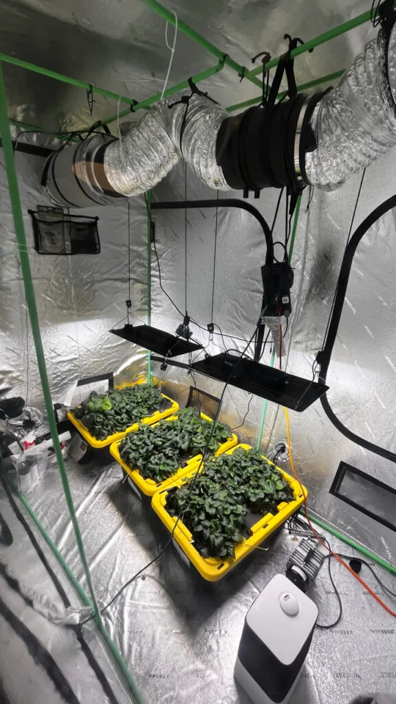 Our Plant Lab to test out fleet level smart hydroponics setup using Viam.