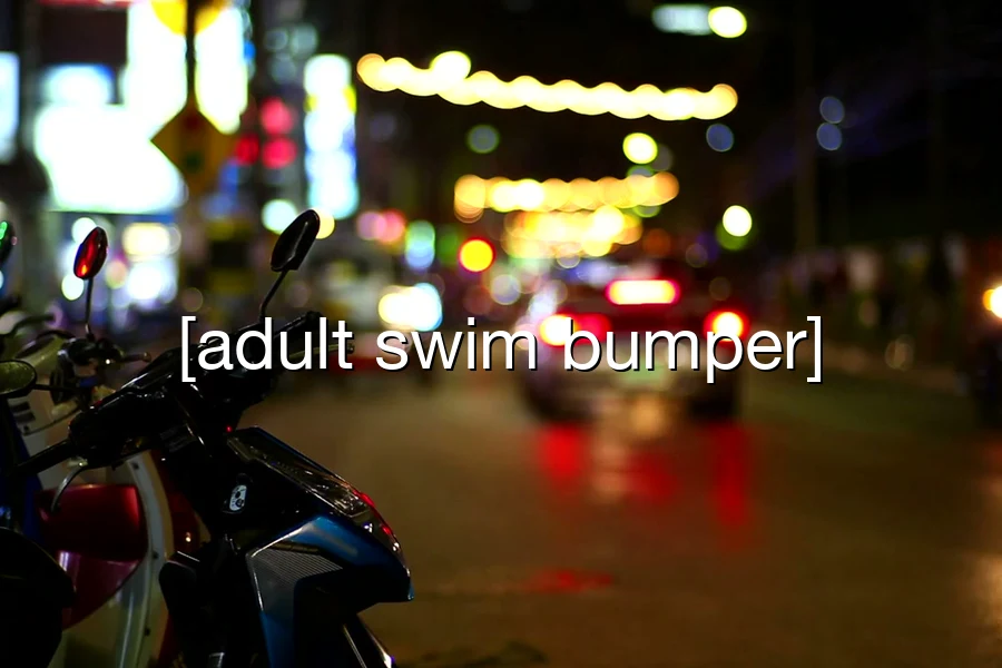 City at night with [adult swim bumper] text overlay