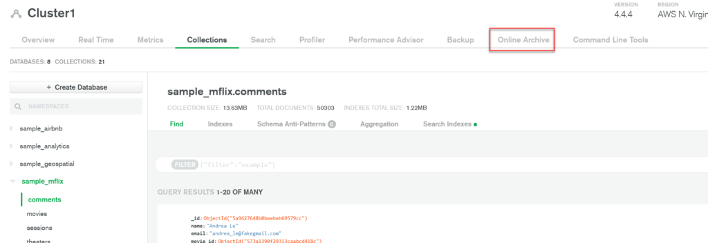 Screenshot from Atlas with a red rectangle highlighting the Online Archive tab.